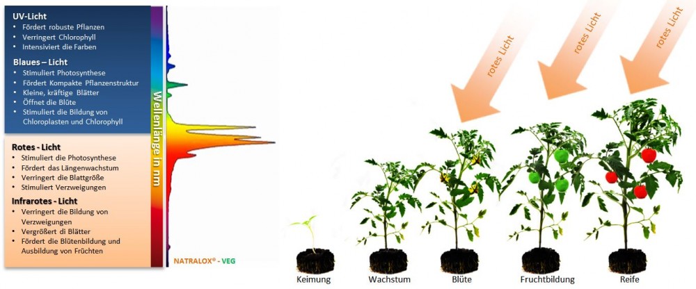 NATRALOX® VEG - Qualität aus Deutschland lässt Pflanzen und Erträge wachsen